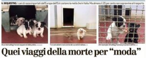 cani-sequestrati