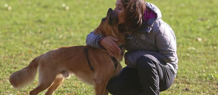 Gli animali al tempo dell'emergenza Coronavirus