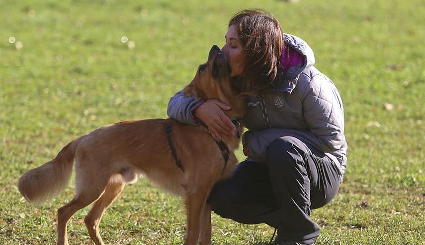 Gli animali al tempo dell'emergenza Coronavirus