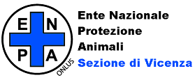 Logo del modulo